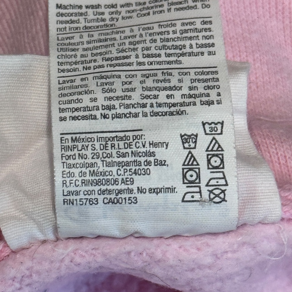 Champion Reverse Weave Pink Pullover Hoodie Men’s L Women’s XL C Logo - Picture 9 of 9